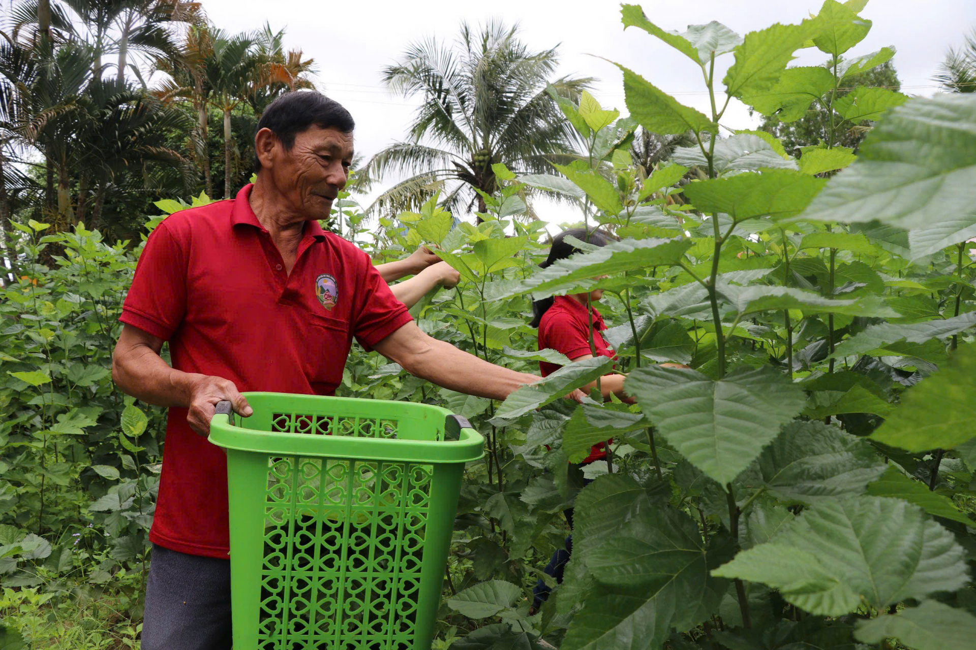 Khôi phục, phát triển làng nghề truyền thống