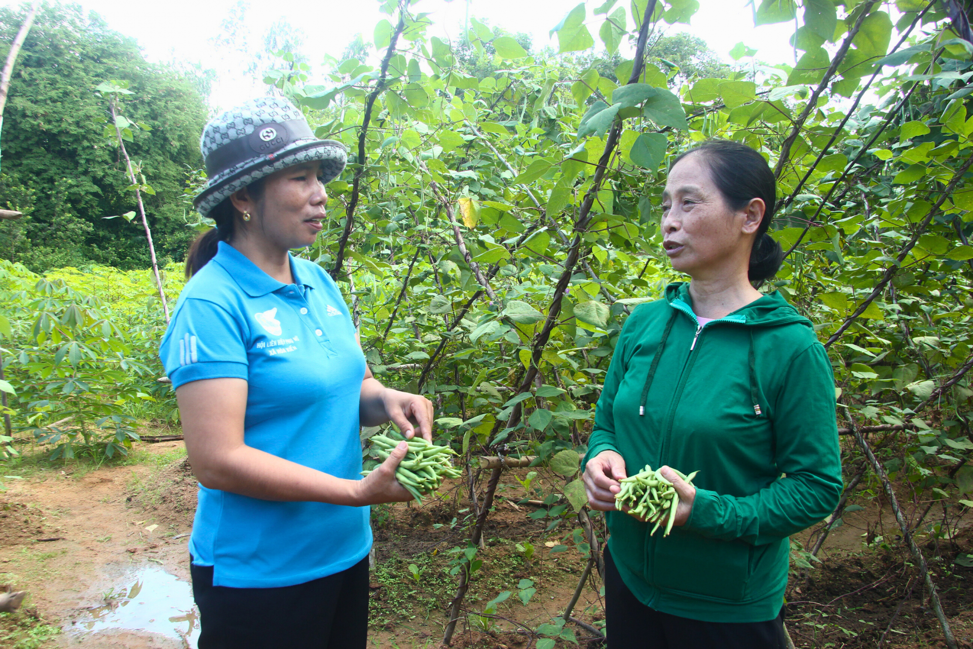 Nâng cao chất lượng hoạt động tín dụng chính sách