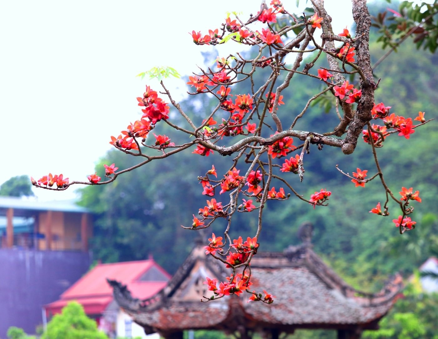 Ta hẹn gì với tháng ba