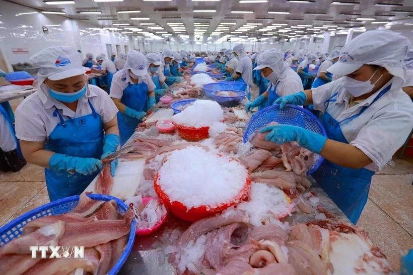 Processing aquatic products for exports. Photo: VNA