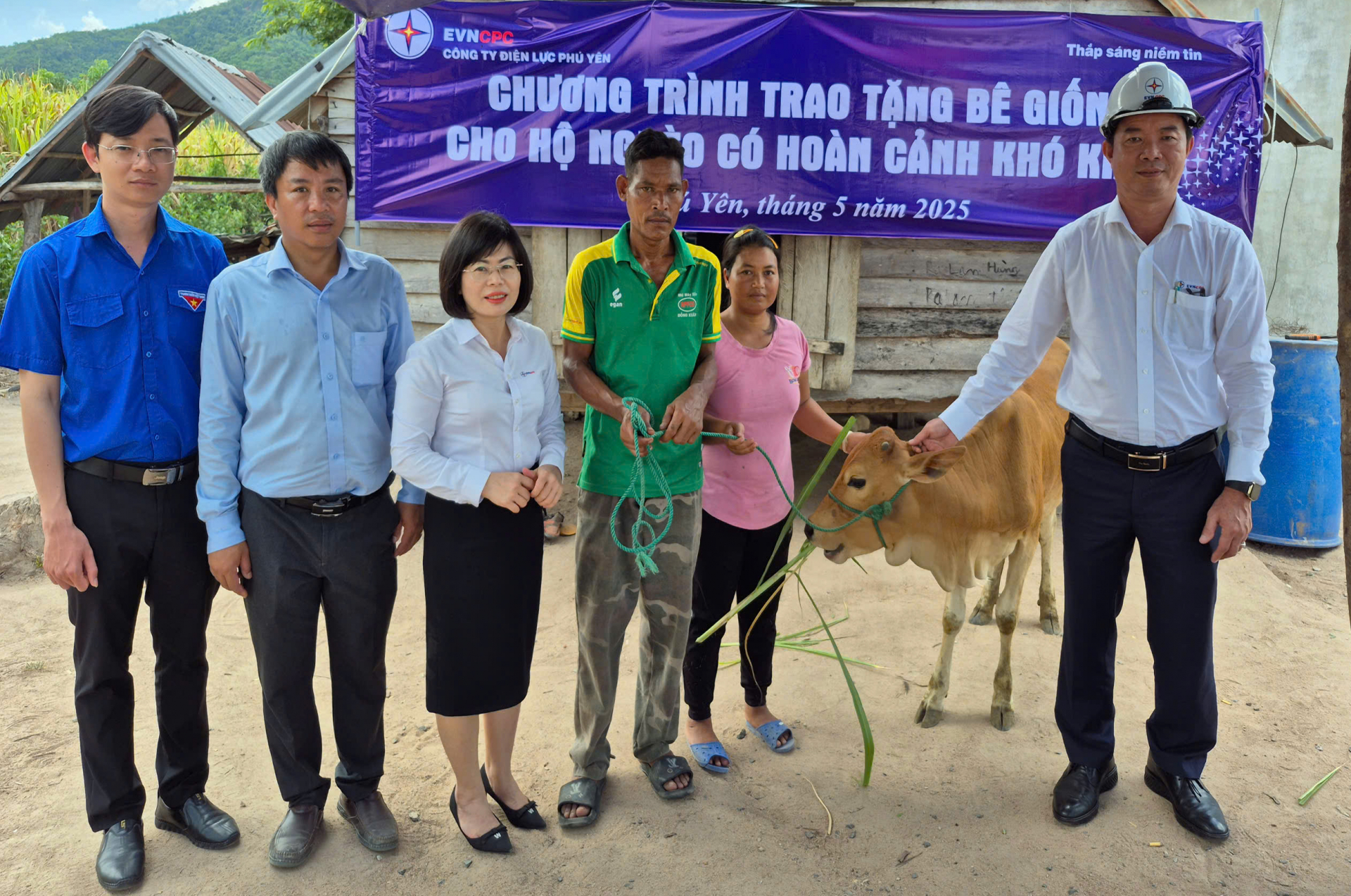 Tặng bê giống cho hộ nghèo ở Phước Tân