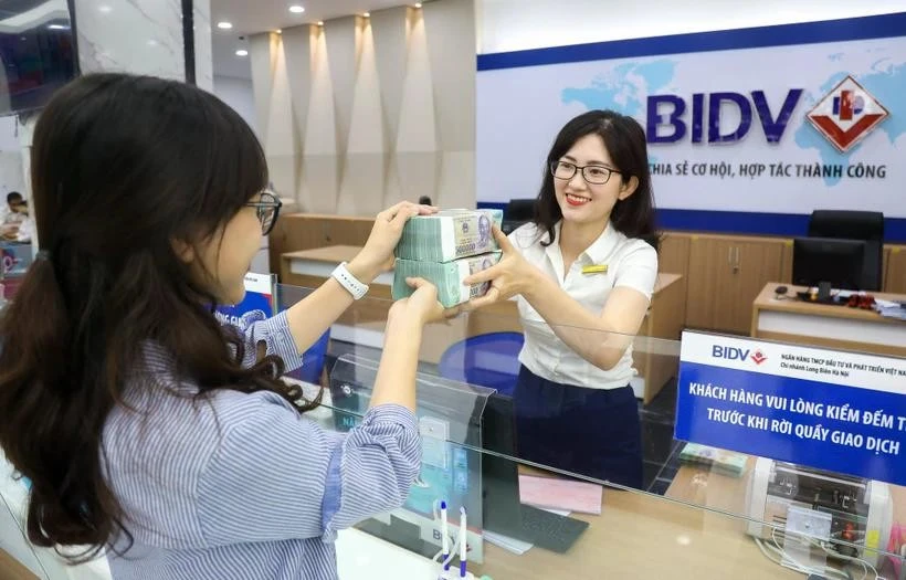 Many banks in Vietnam promote green credit for sustainable growth. Photo: VNA
