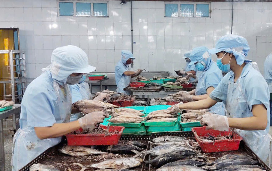 Thời gian qua, tỉnh Phú Yên đã cụ thể hóa hoạt động hỗ trợ, từng bước tháo gỡ khó khăn cho cộng đồng doanh nghiệp. Trong ảnh: Một doanh nghiệp chế biến thủy sản ở KCN Hòa Hiệp, TX Đông Hòa. Ảnh: NHƯ THANH