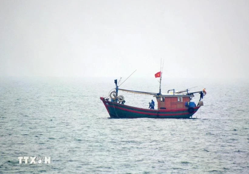 A Vietnamese fishing vessel operating in the northern waters of the Gulf of Tonkin. Photo: VNA