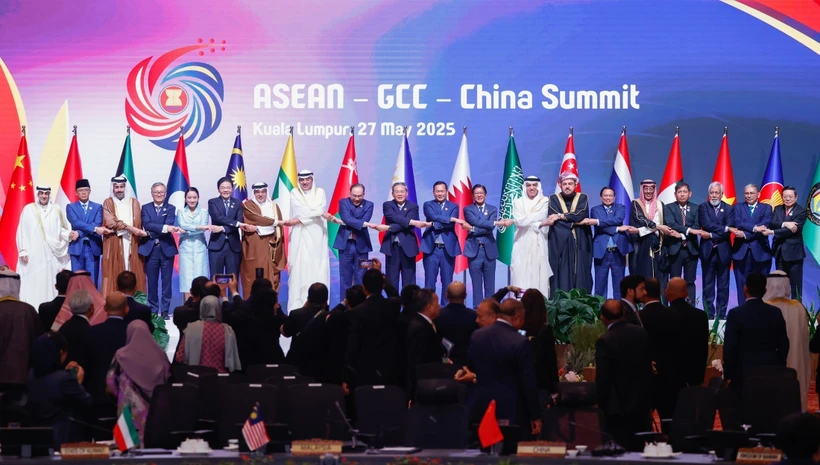Delegates at the Summit. Photo: VNA