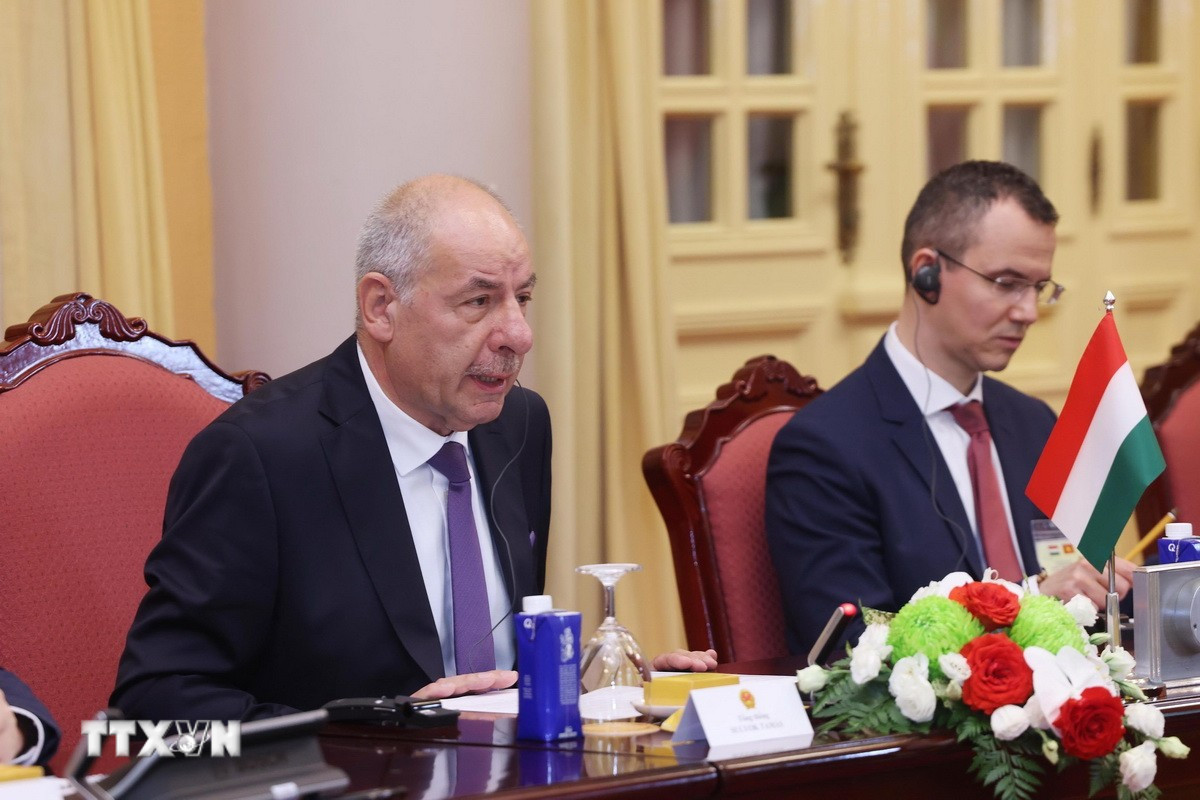 Tổng thống Hungary Sulyok Tamas phát biểu tại hội đàm. Ảnh: TTXVN