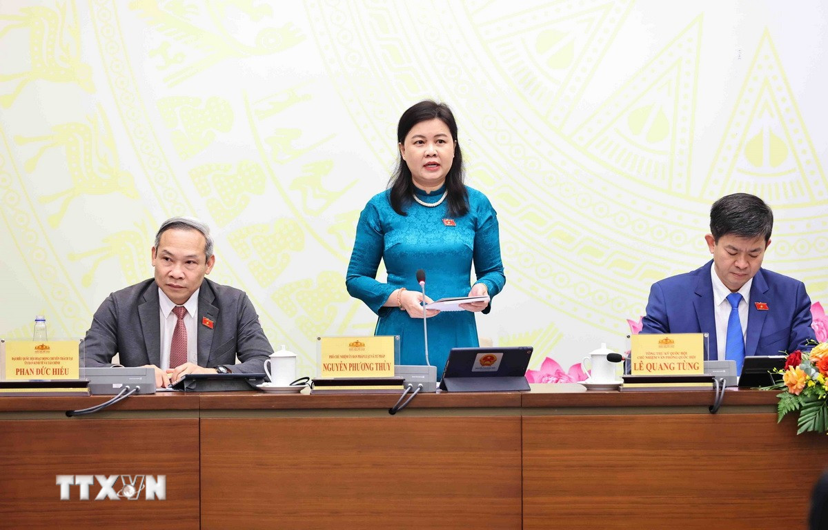 Phó Chủ nhiệm Ủy ban Pháp luật và Tư pháp Quốc hội Nguyễn Phương Thủy trả lời câu hỏi của các nhà báo. Ảnh: TTXVN
