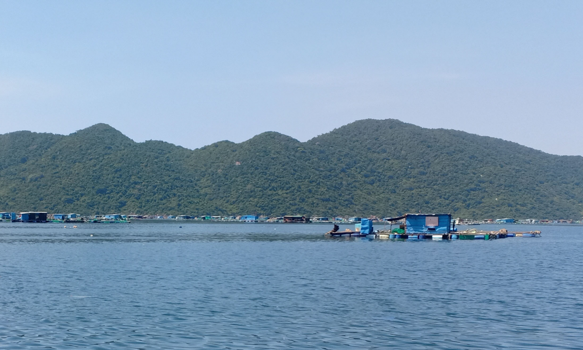 Nuôi thủy sản bằng lồng bè tại khu vực Vũng Rô, TX Đông Hòa. Ảnh: NGUYỄN QUANG