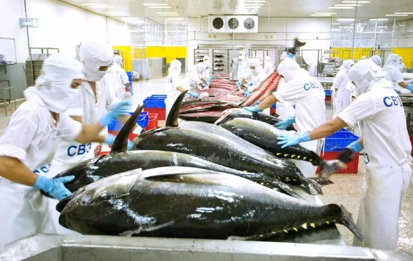 The yellow card has impacted Vietnamese seafood exports to the European markets. Photo: sggp.org.vn