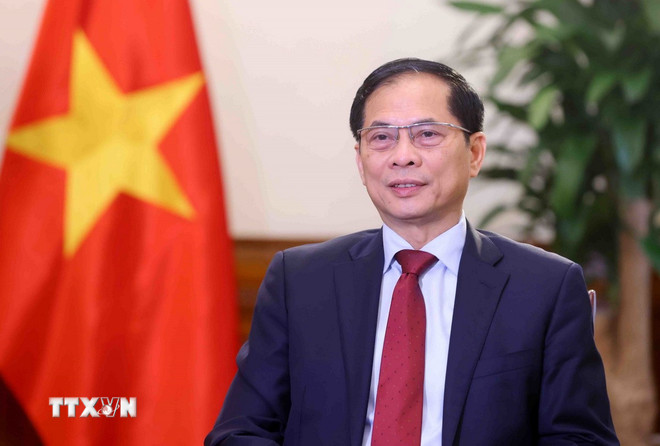 Phó Thủ tướng, Bộ trưởng Ngoại giao Bùi Thanh Sơn. Ảnh: TTXVN