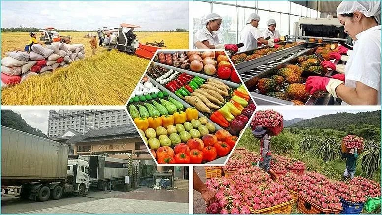 Vietnam gains 28.04 billion USD from exporting agro-forestry-fishery products in the first five months of the year. Photo: congthuong.vn