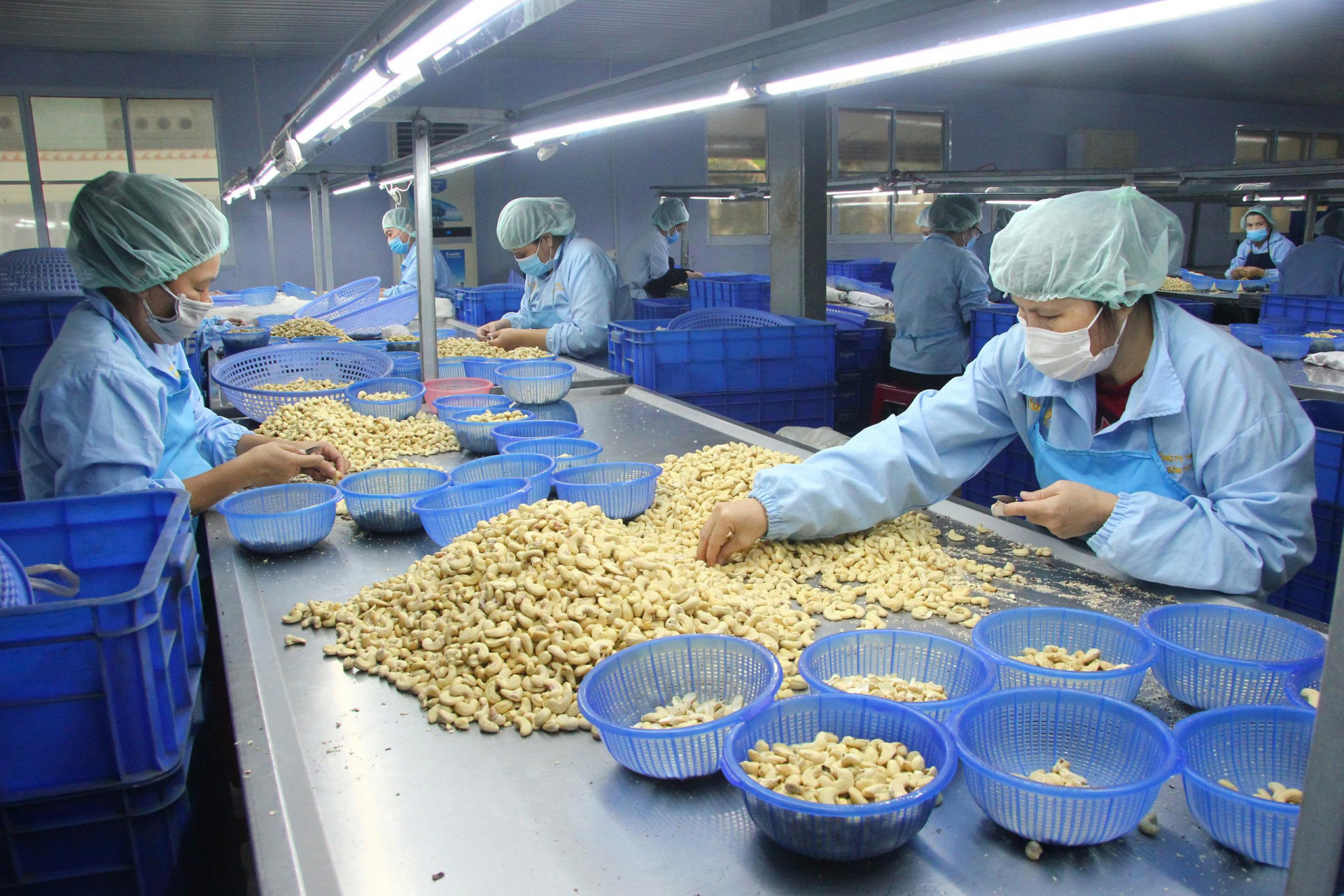 Cắt giảm thủ tục hành chính, cải thiện môi trường đầu tư kinh doanh là một trong những giải pháp thúc đẩy phát triển KT-XH trong giai đoạn hiện nay. Trong ảnh: Sản xuất hạt điều xuất khẩu tại một doanh nghiệp ở KCN An Phú (TP Tuy Hòa). Ảnh: VIỆT AN