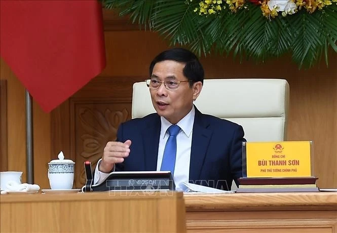 Deputy Prime Minister Bui Thanh Son at the meeting with AVSE Global representatives in Hanoi on June 1. Photo: VNA