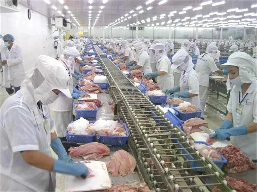 Workers process fish for export. Photo: VNA