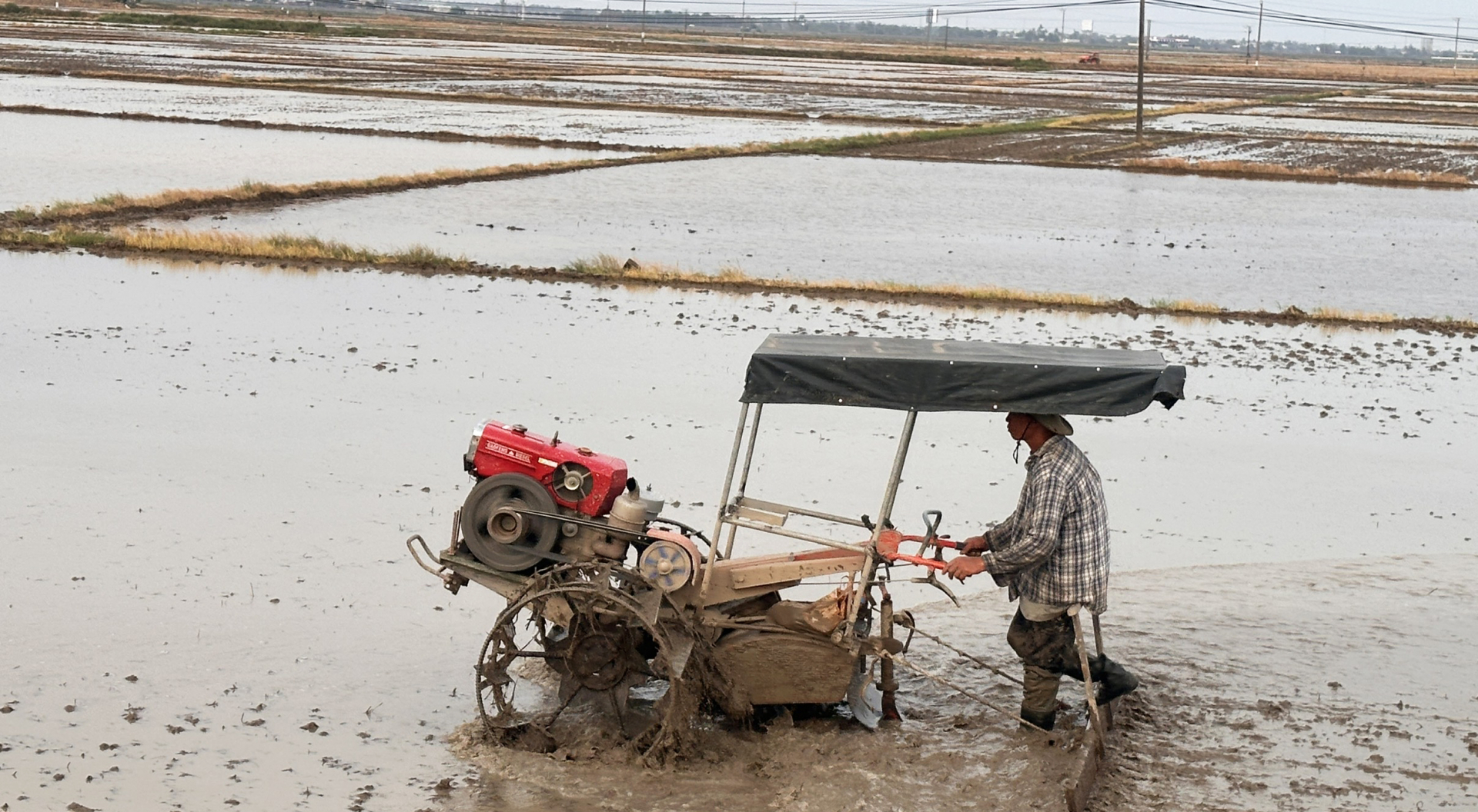 Nông dân xã Hòa Thành (TX Đông Hòa) làm đất, bừa láng để gieo sạ lúa hè thu. Ảnh: NGỌC HÂN