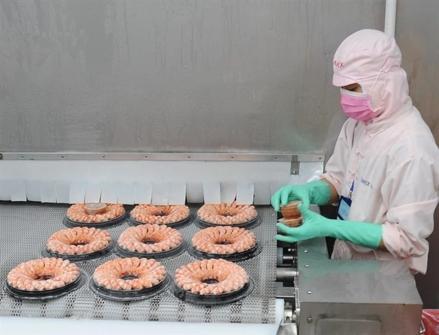 Processing shrimp for export. Photo: VNA
