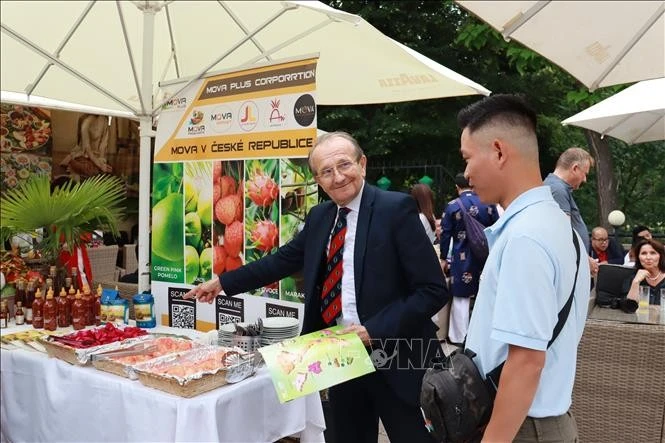 A visitor at the event. Photo: VNA