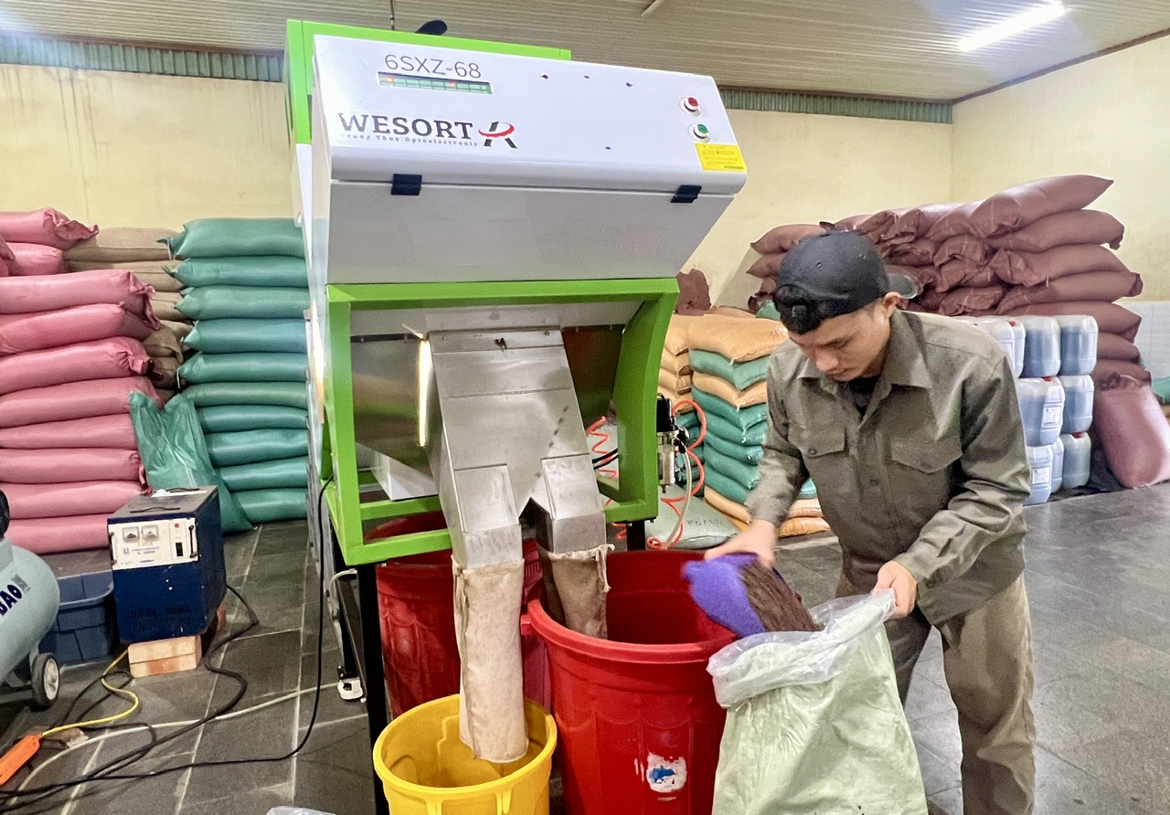 Sản xuất cà phê tại một doanh nghiệp ở TP Tuy Hoà. Ảnh: KHANG ANH