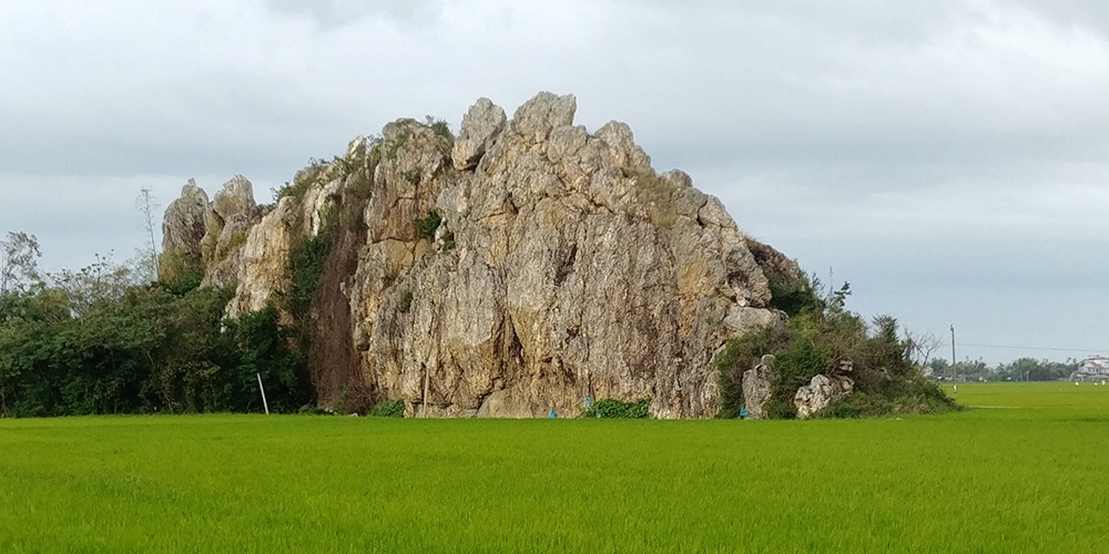 Gành đá mọc giữa đồng ở Phú Yên thu hút người đến xem được cấu tạo từ loại đá gì mà hình thù kỳ dị? - Ảnh 3.